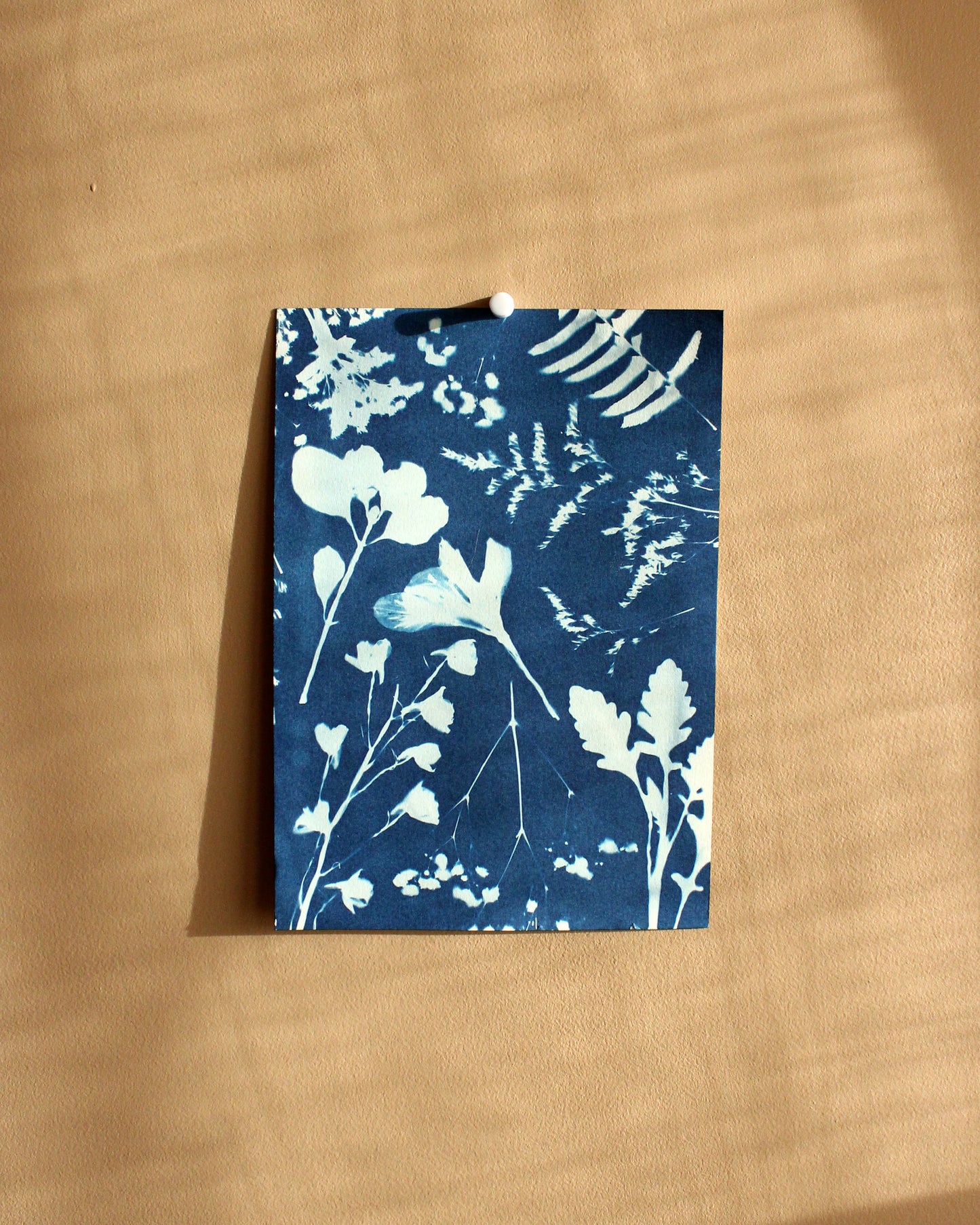 Solar Silhouette Print
